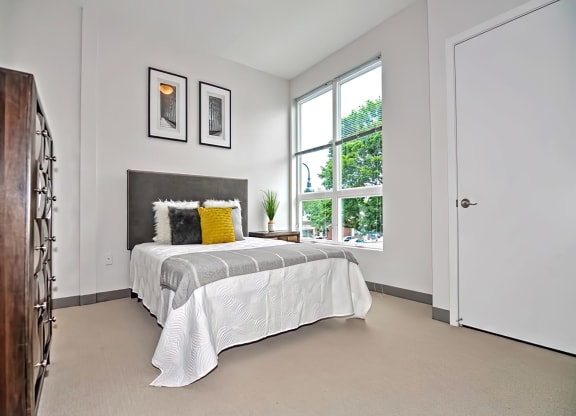 One Mansfield Bedroom with Plush Carpeting and Large Windows