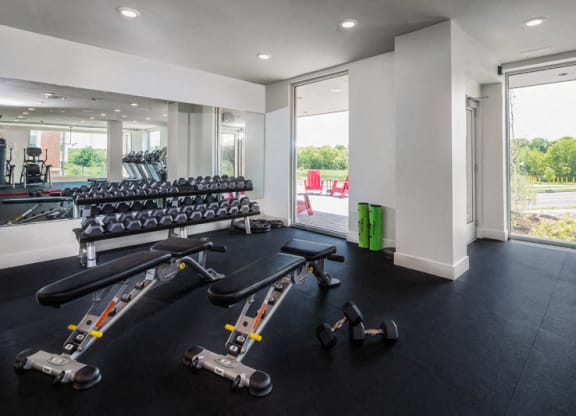 Free Weights at The Mastlight