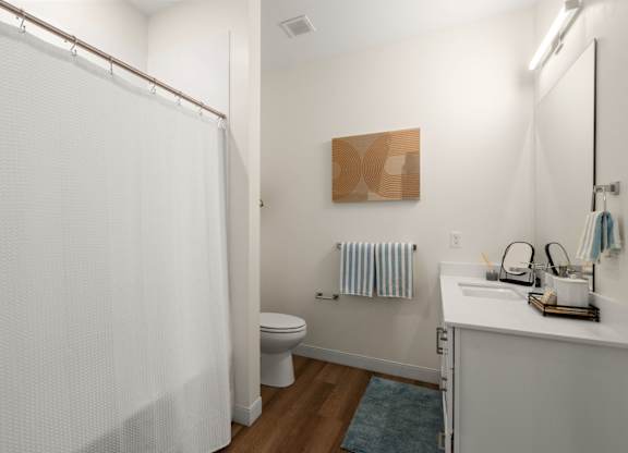 A bathroom with a toilet, sink, and shower curtain.
