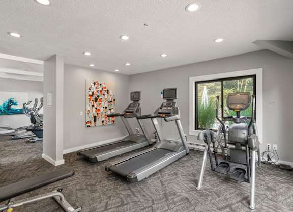 A spacious home gym with treadmills and elliptical machines.