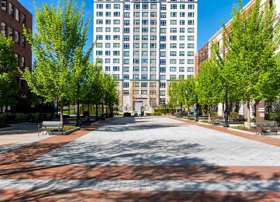 A city street with trees and benches in front of a tall building.