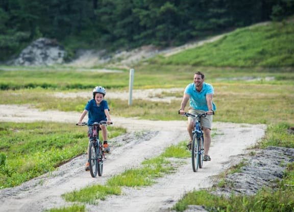 People biking along the marsh paths