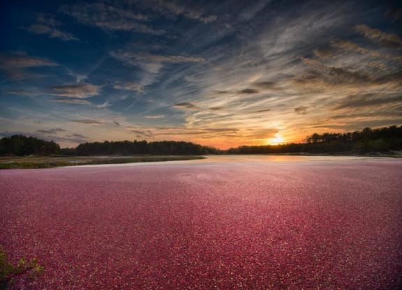 redbrook at Twighlight over the bog