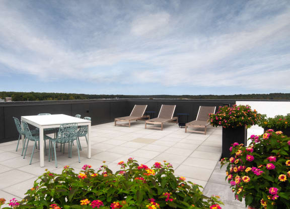 Rooftop deck with sunbathing chairs