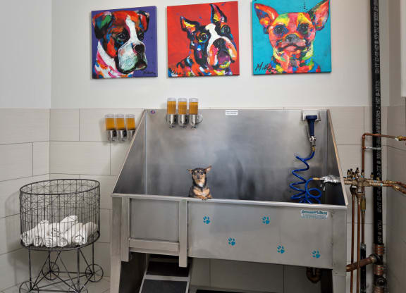 a dog sitting on a table in front of a painting of a dog