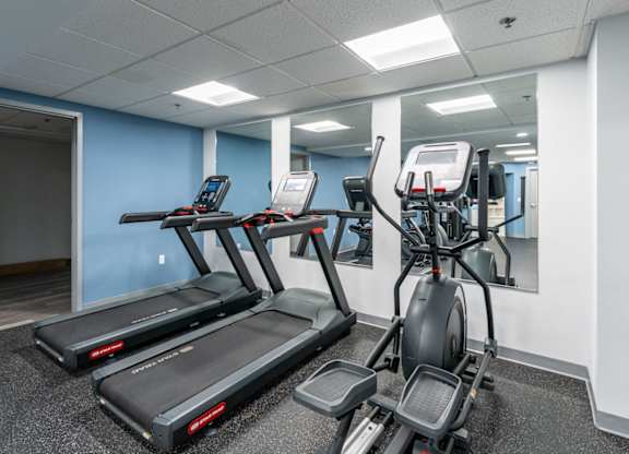 a gym with treadmills and elliptical machines