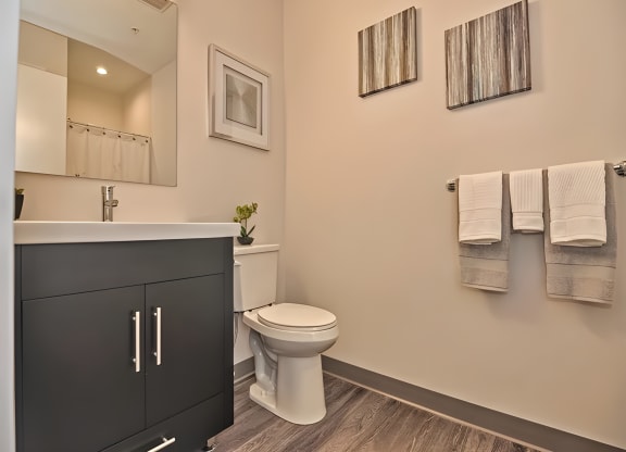One Mansfield Model Apartment Bathroom with High Quality Finishes