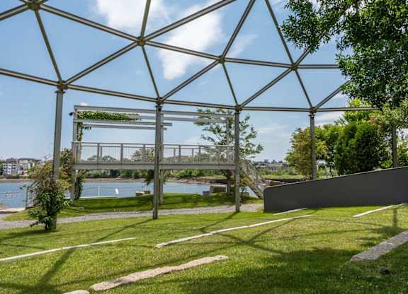 A green plant grows in a metal cage.