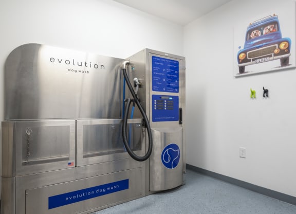 Pet Grooming station