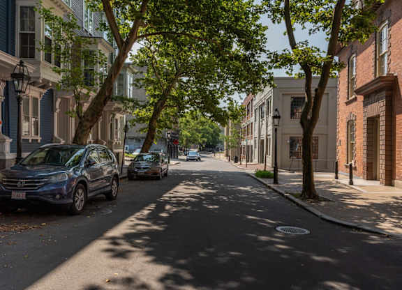A tree-lined street with cars parked on the side.