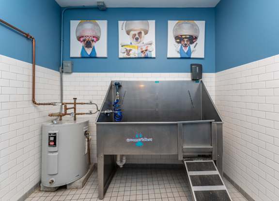 A dog is shown on a poster in a room with blue walls.