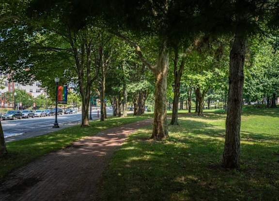 A tree-lined walkway in a park.