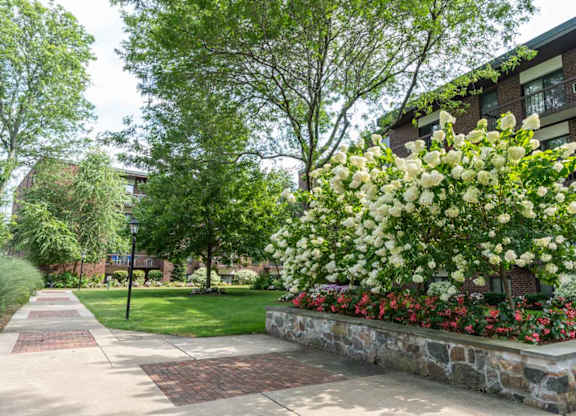 Landsaping in the quincy commons courtyard