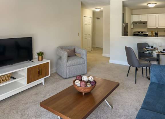 A living room with a grey couch, a wooden coffee table, and a television.