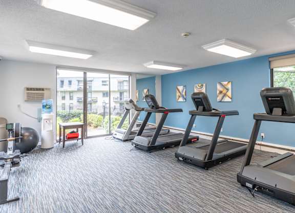 a gym with cardio equipment and a large window