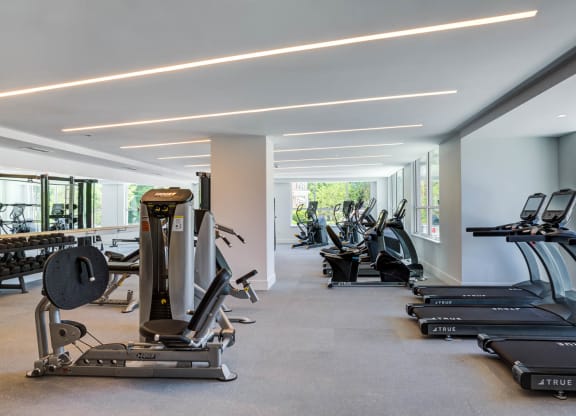 Large fitness center with cardio equipment and free weights