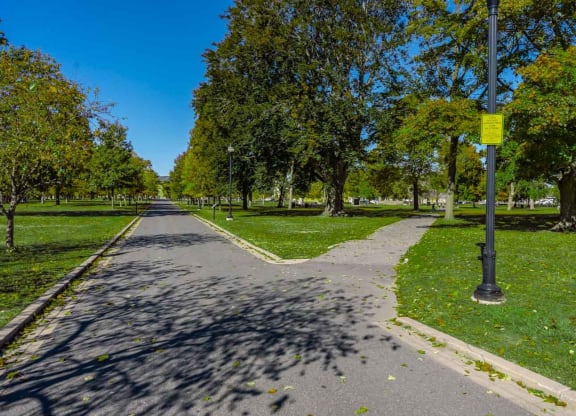 a path through a park on a sunny day