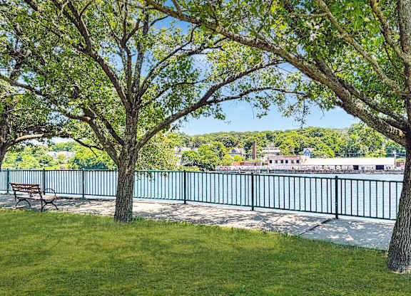 A bench is situated on a lawn under a tree at Brewery Square Apartments, Connecticut, 06513