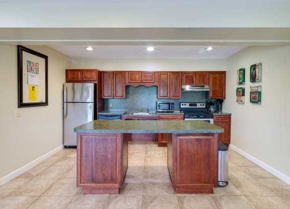 Kitchen Layout With Stainless Steel Appliances Large Auditorium And Media Room at The Birches at Chambers, Kingston, 12401
