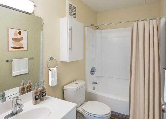 a bathroom with a shower and a sink and a toiletat North Stoughton Village, Massachusetts, 02072
