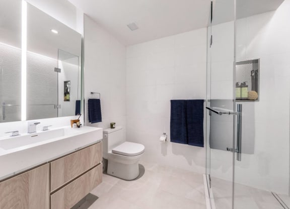 a bathroom with a shower and a sink and a toilet