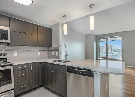 The Plaza Apartments In Grand Rapids, MI Premium Kitchen With Granite Countertops and Wood Style Flooring