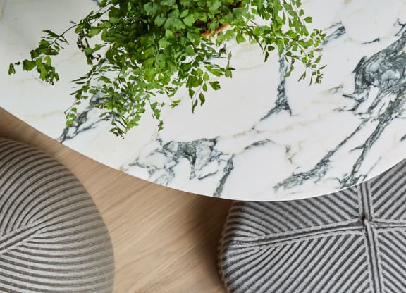a table with a black and white table cloth and a plant on it