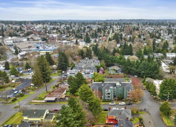 an aerial view of a neighborhood with houses and trees