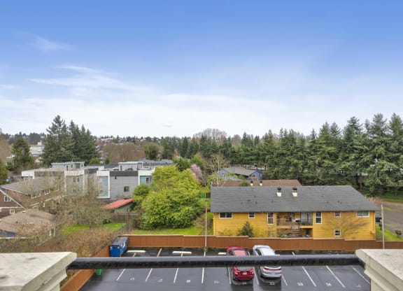 the view of the neighborhood from the roof of a building