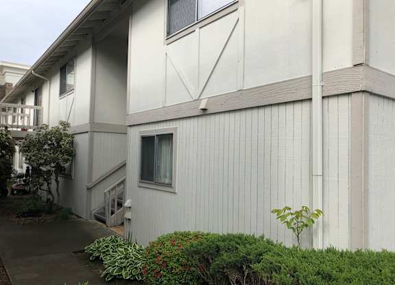 Bridgeport Terrace Apartments with white and tan exterior walls surrounded by trees & shrubs