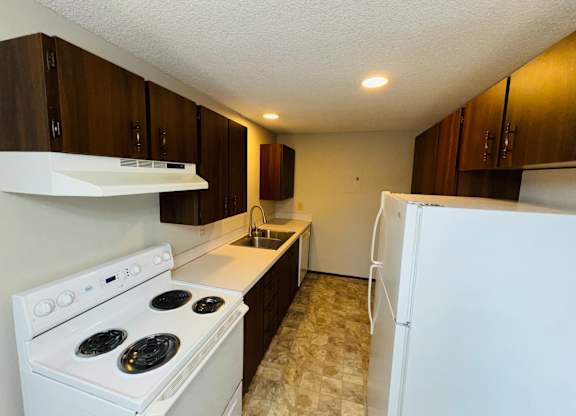 Kitchen view with electric range, range hood, double sink, and extended counter space with dark cabinetry in 1-bedroom apartment
