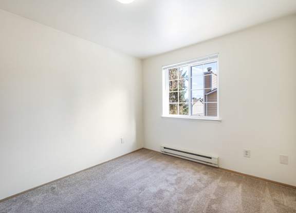A room with a window and a carpeted floor.