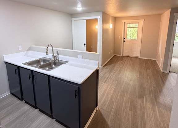 A kitchen with a sink and cabinets.