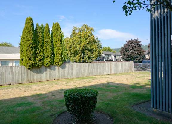 A backyard with a fence, a hedge, and a tree.