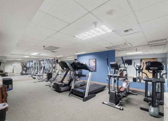a gym with various cardio machines and weights in a large room