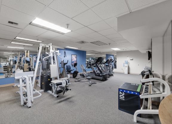 a gym with weights and other exercise equipment in a building