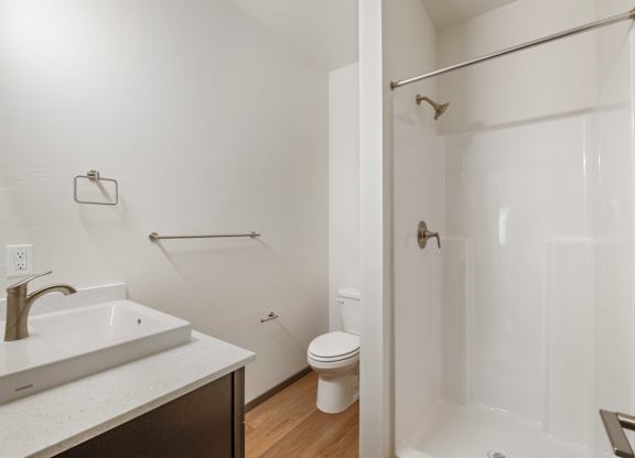 Master bathroom with sink, shower and toilet.