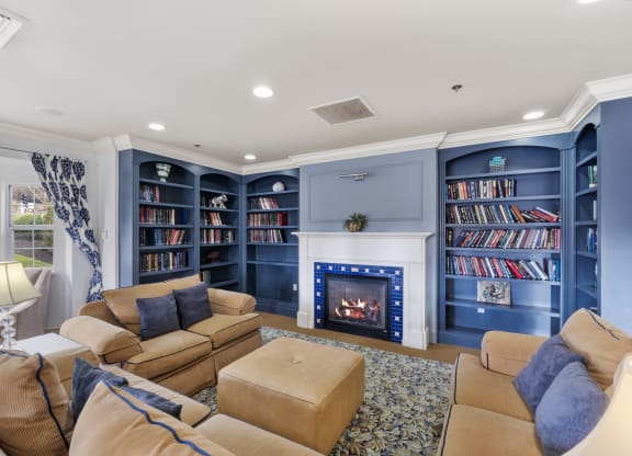 the living room has a fireplace and blue bookshelves