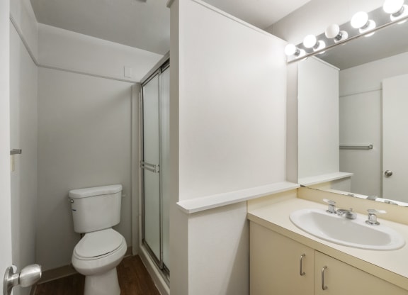 a bathroom with a sink toilet and a shower
