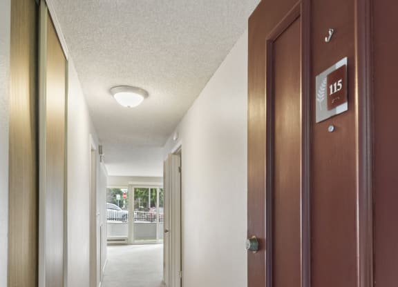 a hallway with brown doors and white walls and a wood floor