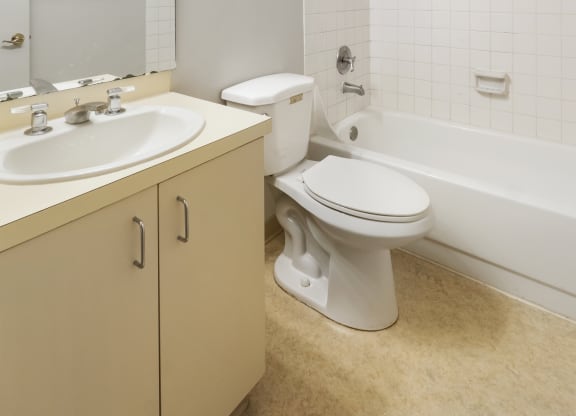a bathroom with a toilet and a sink and a bath tub
