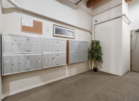 A room with a wall of filing cabinets and a potted plant.
