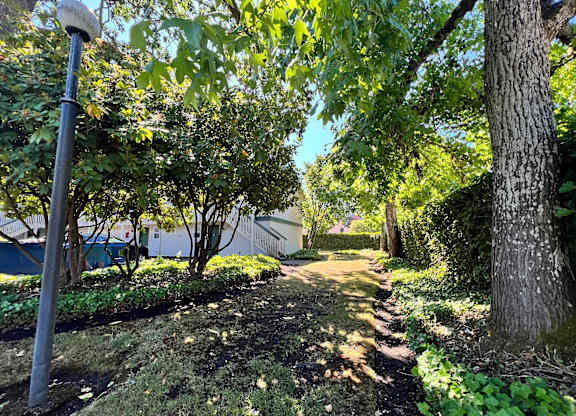 A pathway surrounded by greenery and a lamp post.