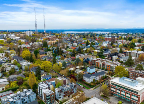 an aerial view of a city with buildings and trees