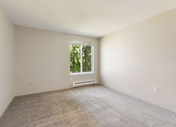 A bedroom with a window and carpeted floor.