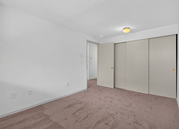 A room with a carpeted floor and a white wall with a door and three closets.