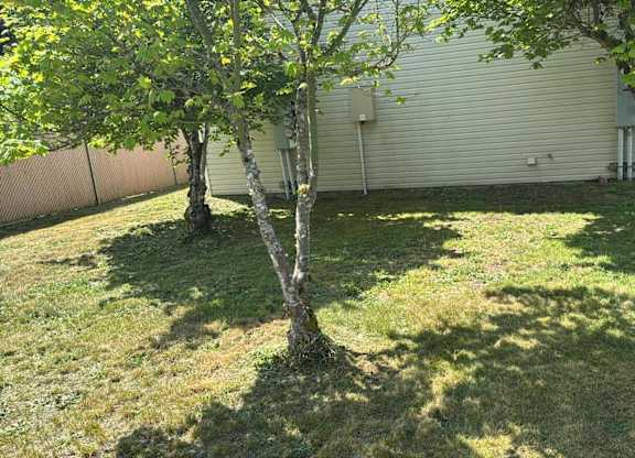 A tree in a yard with a white garage door in the background.
