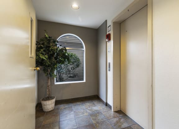 a hallway with an arched door and a potted plant