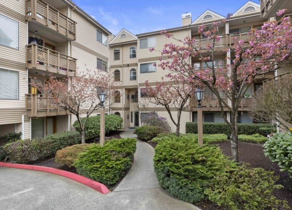 a walkway in front of an apartment building with flowering trees