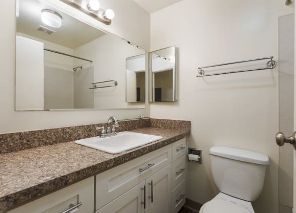 a bathroom with a sink and a toilet and a mirror